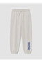 Gray Sonic Printed Boys' Tracksuit Set - 5