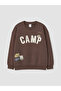 Brown Crew Neck Printed Boy's Sweatshirt - 2