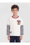 Beige Crew Neck Tiger Printed Boys' T-Shirt