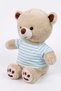 Dressed Plush Bear |   1+ Years Old |   30 cm |   Emotional Confidence and Sleep Companion - 3