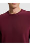 Burgundy Regular Fit Basic Sweatshirt 50334023-Vr014 - 6