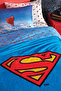 Superman Logo Single Wellsoft Blanket - Blue - 2