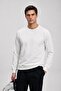 Men's Seasonal Regular Fit White Collar Basic Sweater