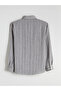 Khaki Regular Fit Striped Men's Shirt - 6