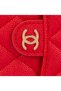 Red Card Holder Leather Phone Case with Strap Dk520 iPhone 17 Pro - 5