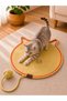 Cat & Dog Bed and Mat Scratching Play Mat - 4