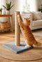 Scratching Post for Cats