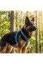 Genuine Leather Blue Dog Collar and Leash Set - Luxury Pet Vest