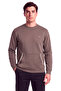 Men's Regular Fit Cotton Metallic Logo Detailed Short Sleeve Brown Melange Sweatshirt