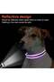 Reflective Dog Collar with Soft Neoprene Padding, Metal D-Ring and Adjustable Length, Premium Nylon Material (Color: Purple) - 3