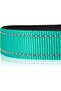 Reflective Dog Collar with Soft Neoprene Padding, Metal D-Ring and Adjustable Length, Premium Nylon Material (Color: Turquoise) - 2