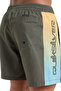 Men's Khaki Everyday Holmes Volley 16 Swimsuit Eqyjv04136-Glho - 6