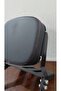 Arora CP250 Sissy Bar - 2