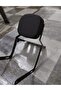 Arora CP250 Sissy Bar - 3
