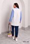 Printed Poplin Detailed Striped Cotton Shirt - 2