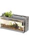 Amaamak Small Aquarium with Plants