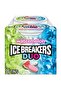 Duo Fruit Plus Cool Watermelon Sugar Free Mints Tins 13 oz 8 Count