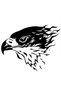 Black Eagle Car Front Hood Custom New Design sticker