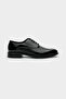 Ds Groom Black Tuxedo Shoes