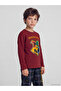 Timeless Clothing & Timeless Choices Harry Potter Licensed Zero Roba Collar Boys' Pajama Set - 3
