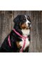 Genuine Leather Pink Dog Collar and Leash Set - Luxury Pet Vest - 5
