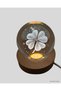 Spt-Gld Led Illuminated Glass Globe with Clover Plant Figure and USB Wooden Stand (13954) Night Light - 3