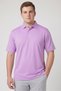 Men Sportwear Fit Short Sleeve Golf Polo Shirt, Lavender