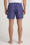 Men Allover Print Board Shorts, Multicolor - 4