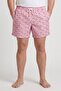 Men Allover Print Board Shorts, Multicolor