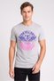 Men Crew Neck Graphic Print Short Sleeve T-Shirt, Grey