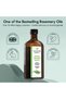 Rosemary Oil for Hair with Hair Oil Applicator, Bottle Comb, 150ml Rosemary Oil for Hair Growth, Treat Dry, Damaged Hair to Fight Hair Loss with - 8