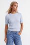Women's Blue Crew Neck Soft Textured Self-Glitter Knitwear Blouse Alc-X15768