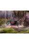RC Climbing Black Widow - 8