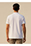 Basics Short Sleeves Polo T-shirt - 4