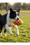 Tpmkopektp Dog Play Ball 1 Piece