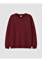 Rmz Gi̇yi̇m Farkiyla Boys' Thick Sweatshirt - 3