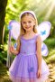 Children's Butterfly Wing with Crown and Wand