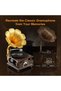 Retro Phonograph Kit, Vintage Gramophone Music Box Making Kit, Acoustic Music Experience - 5