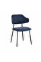 Blue Color Sitting Chair