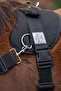 Foalmaster Thai Training Set with Handle - Black, Thai - 4