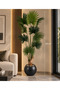 9 Branches 215cm Length Paperbark Tree