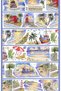 B18-Bobo Fish 125cm Marine Hardware Pet Tape