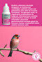 BİRD DIGESTIVE - 2