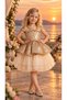 Sequined Robe, Stone Detailing, Layered Tulle Skirt, Satin Bow, Crown Accessory, Girls' Evening Dress for Ages 4-8, Birthday, Special Occasion