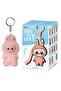 Labubu The Monsters Pin for Love Series N-Z Vinyl Plush Pendant Blind Box