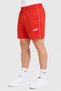 Men Sportswear Fit Brand Logo 9 Inseam Outdoor Shorts, Burnt Orange - 3