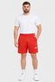 Men Sportswear Fit Brand Logo 9 Inseam Outdoor Shorts, Burnt Orange - 2