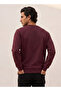 Sweatshirt - 3