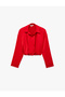 Regular Fit Notched Collar Long Sleeve Satin Shirt