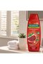 Color Shine Shampoo & Conditioner For Colored Hair, 100% Natural Ingredients, Pomegranate Shampoo, 380 ml - 2